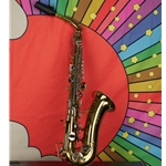 Used Selmer Bundy Alto Saxophone w/ Hardcase ISS21924