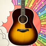 Taylor 417e Rosewood 6 String  Acoustic- Electric Guitar with cutaway, pickup system & hard case 417E-R