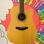 Used Takamine GD20CE Acoustic - Electric ISS27552