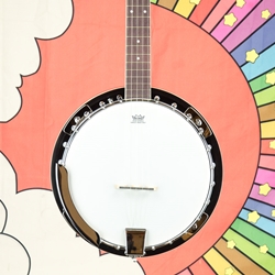 Ibanez B-50 5 String Banjo, Resonator Back