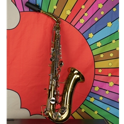 Used Selmer Bundy Alto Saxophone w/ Hardcase ISS21924